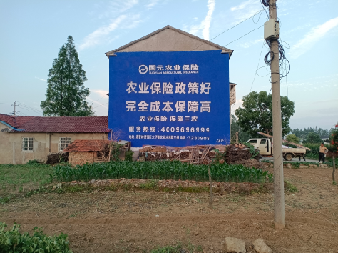 渝中墙体广告的优劣势你知道吗？